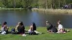 Sunny Day in Vondelpark - Amsterdam Travel Guide - TikTok