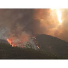 Jun 10, 2021 · bombeiros de olhão promoveram ação de sensibilização na ilha da armona. Incendio No Algarve Obriga A Evacuar Casas E Lar De Idosos Combate Segue De Madrugada Economia Jornal De Negocios