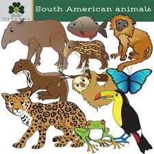 South American Animals Clip Art Amazon Wildlife American Animals Jungle Animals Rainforest Animals
