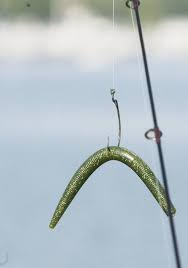 Special Plastic Worm Rig Is A Bass Catching Bit Of Magic And Not So Wacky After All Freshwater Fishing Fishing Trip Crappie Fishing