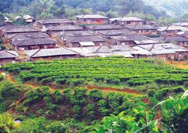Kebun teh wonsari merupakan kebun teh pertama di jawa timur yang bernaung di bawah perusahaan belanda bernama nv. Desa Wisata Malasari Kearifan Lokal Gunung Halimun Salak Sentul City