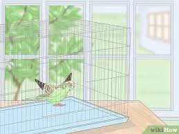 Measure the cage to choose the right length of natural wood. How To Set Up A Bird Cage 14 Steps With Pictures Wikihow