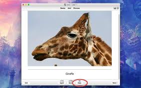 How To Remember More Of What You Learn With Spaced Repetition Spaced Repetition Study Techniques How To Memorize Things
