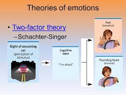 These three propositions (or hypotheses) were devised Unit 8b Motivation And Emotion Emotions Stress And Health Ppt Download