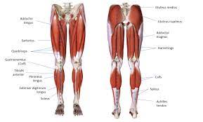 It is consequently of particular interest. Understanding Wing Chun Structure Lower Body Wing Chun Journey