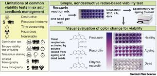 This clipart image is transparent backgroud and png format. Dead Or Alive Simple Nondestructive And Predictive Monitoring Of Seedbanks Trends In Plant Science
