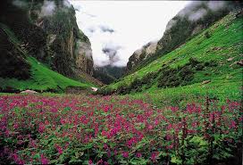 Check spelling or type a new query. Uttarakhand The Valley Of Flowers Outlook Traveller