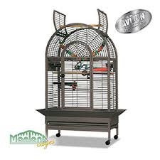 Il faut préférer une grande cage avec. Quelle Taille De Cage Pour Un Perroquet Envies Animales