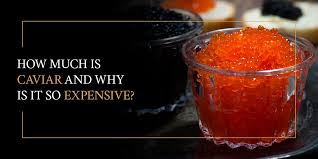 How Much Does Caviar Cost? Why Is It Costly? Imperia Caviar