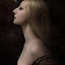 Figure 1: Noir Roxana Illuminated Perfume perfume