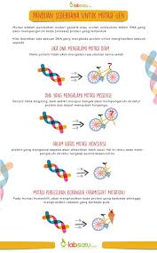 Labsatu Infographic Mutasigen Bingung Sama Mutasi Gen Coba Simak Infografik Yang Satu Ini Yuk Panduan Seder Kimia Genetik Peralatan Laboratorium