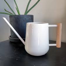 If You Have As Many Plants As We Do Or Even If You Only Have A Couple You Ll Spend A Good Portion Of Your L Indoor Watering Can Indoor Watering Watering