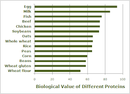 How Much Protein To Build Muscle Calculator