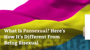 Pansexual has come to the forefront of the public's conscious in recent years thanks, in part, to several celebrities identifying with the label. What Is Pansexual Here Rsquo S How It Rsquo S Different From Being Bisexual Health Com