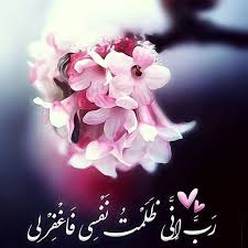 اشكال كنب هدي الونرمادي