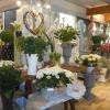 jardins issler jardinerie vendenheim 67550 adresse horaire et avis
