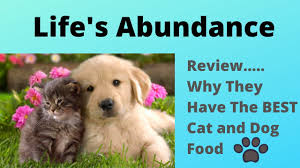 Become a distributor for a small fee and get your pet food for free. Life S Abundance Review And Why Do They Have The Best Cat And Dog Food Youtube