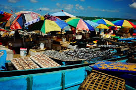 Kedonganan fish market, badung, bali, indonesia. ä¸æƒ³å›žå®¶ åªæƒ³å³‡é‡Œ