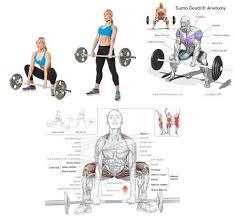 The Sumo Deadlift