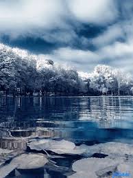 You can choose the most popular free winter gifs to your phone or computer. Winter Gif Download Share On Phoneky