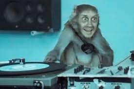 You get what you give that much is true. Basement Jaxx To Tour In November And December O2 Priority Ticket Details