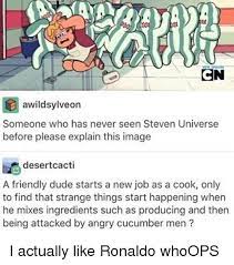 Dude Memes And Image Cn Awildsylveon Someone Who Has Never Seen Steven Universe Before Pl Steven Universe Quotes Steven Universe Funny Steven Universe Memes