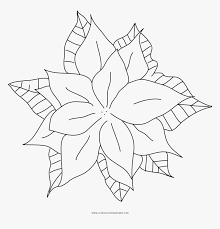 These spring coloring pages are sure to get the kids in the mood for warmer weather. Poinsettia Coloring Page Line Art Hd Png Download Kindpng