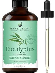 Image result for Eucalyptus
