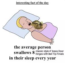 Pin By Jordyn On Dank Memms In 2020 Memes Stupid Funny Memes Stupid Memes