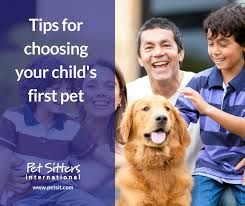 Owning a pet can be a rewarding experience for a child. Choosing Your Child S First Pet