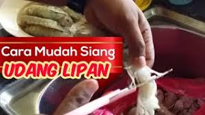Tempah bantal cantik dan ceramic tiles bergambar dekat printcious.com. Cara Cara Siang Udang Lipan Udang Ketak Youtube