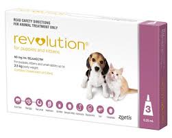 Notify me when this product is available: Revolution For Puppies And Kittens 3 Pack Pink My Pet Warehouse