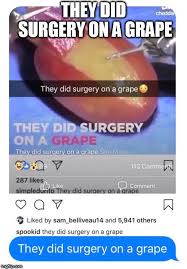 Your meme was successfully uploaded and it is now in moderation. Why Is Everyone Saying They Did Surgery On A Grape