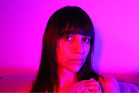 Xylocopa bee is a large non-aggressive bee