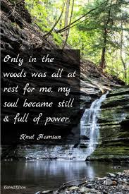Hamsun Quote Into The Woods Quotes Nature Quotes Nature Quotes Adventure