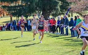 Johnson Leads Redbirds at Hawkeye Invitational