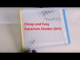 Well you're in luck, because here they come. Diy Aquarium Divider Fish Tank Divider Diy Less Than 2 Youtube Diy Aquarium Fish Tank Diy Fish Tank