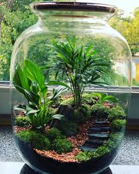Post Wonder Forest Na Instagramie Sie 30 2019 O 1 44 Utc Beautiful Terrariums Indoor Water Garden Garden Terrarium