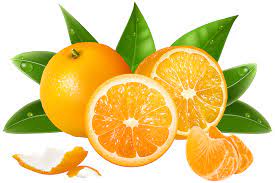 Oranges Png Clipart Image Gallery Yopriceville High Quality Images And Transparent Png Free Clipart Fruit Orange Fruit Clip Art