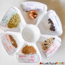 They will learn the concepts of heavy and light and will have fun sorting the objects by their weight. Measurement Garden Hands On Math Activity And Free Printable