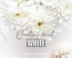 Download Color Quotes The Ultimate List Guaranteed To Inspire You