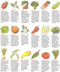 Community Garden Project Growing Vegetables Easy Vegetables To Grow Growing Vegetables Indoors