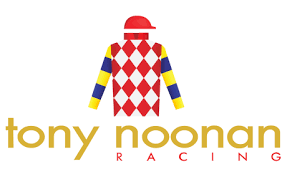 Home | Tony Noonan