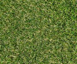 Infill helps protect your artificial turf and keeps your blades standing upright. Wombat Grass 38mm 32 72 Sq M Artificial Grass Online