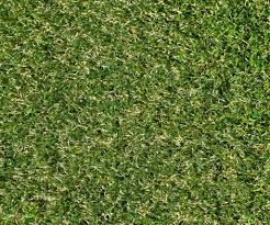 Infill helps protect your artificial turf and keeps your blades standing upright. Wombat Grass 38mm 32 72 Sq M Artificial Grass Online