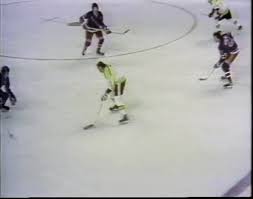 Bruins fan reacts to the habs win in game 7. 1972 Stanley Cup Finals Ice Hockey Wiki Fandom