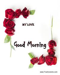 Good morning flower for my friend. Good Morning Flower To My Wife Hutomo