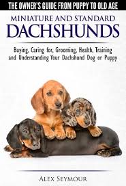 Dachshunds The Owner S Guide From Puppy To Old Age Choosing Caring For Grooming Health Training And Understanding Your Standard Or Miniature Dachshund Do In 2020 Dachshund Training Miniature Dachshund Dachshund