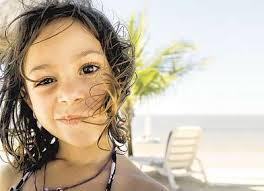 Eine Bienenreise“ auf Finkenrech