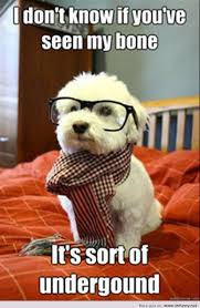 May 01, 2018 · so if you're stuck in a rut, gain inspiration from these 12 amazing employee handbook examples. 40 Most Funny Amazing Meme Pictures And Images